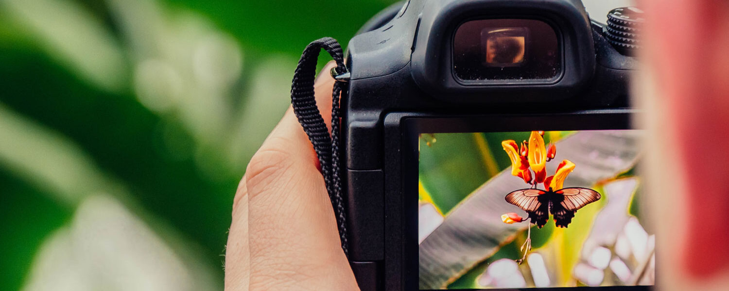 Image Alignment Example