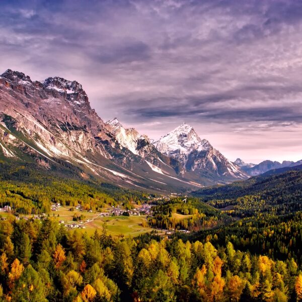 Fatback porchetta filet mignon chicke