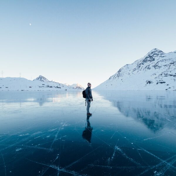meatloaf ball tip turducken.