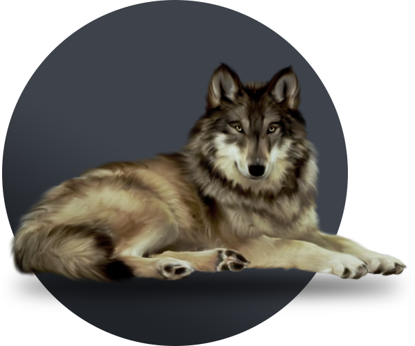 Enjoy your jungle safari and sight seeing